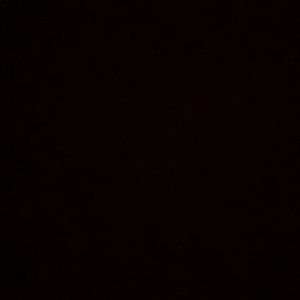 Meet your Posher, Celina